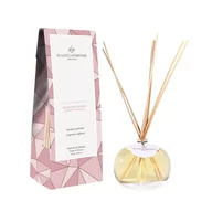 Zapachy do domu - PLANTES&PARFUMS PROVENCE Dyfuzor zapachowy kolekcja Fall/Winter - Coppery Softness - Miedziana Miękkość - 100ml 090406 - miniaturka - grafika 1