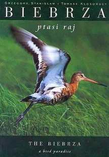 Biebrza - Albumy krajoznawcze - miniaturka - grafika 1