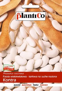 Plantico Fasola na suche nasiona Kontra - Nasiona i cebule - miniaturka - grafika 1