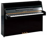 Instrumenty klawiszowe - Yamaha b1 PE pianino (109 cm) - miniaturka - grafika 1