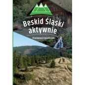 Przewodniki - Beskid śląski aktywnie 29 propozycji tras pieszych - miniaturka - grafika 1