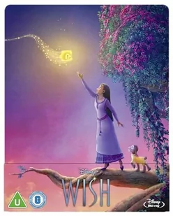 Życzenie (steelbook) - Filmy obyczajowe Blu-ray - miniaturka - grafika 1