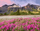 Malowanie po numerach - Twoje Hobby Malowanie po numerach. Kwiaty w pobliżu gór 40 x 50 cm - miniaturka - grafika 1