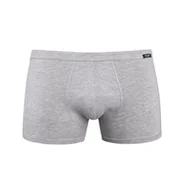 Majtki męskie - Bokserki męskie bawełniane Levi szare, Teyli - miniaturka - grafika 1
