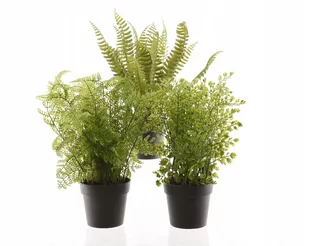 Sztuczna paproć w doniczce fejka 30 cm - Sztuczne kwiaty - miniaturka - grafika 1