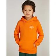 Bluzy dla chłopców - Tommy Hilfiger Bluza | Regular Fit - miniaturka - grafika 1