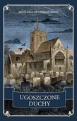 Horror, fantastyka grozy - Ugoszczone duchy. Antologia opowiadań grozy - Richard Marsh, Rosa Mulholland, Gilbert Chesterton, D H Lawrenc - książka - miniaturka - grafika 1