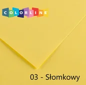 Szkolne artykuły papiernicze - Canson Karton rys. (C) 50x65 op.25 - słomkowy 03 - miniaturka - grafika 1