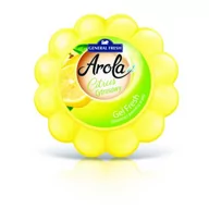 Odświeżacze powietrza - Odświeżacz w żelu dynia Arola gel fresh 150 g cytryna General Fresh - miniaturka - grafika 1