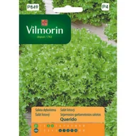 Nasiona i cebule - Sałata dębolistna Querido 0,5 g Vilmorin Garden - miniaturka - grafika 1