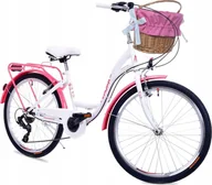 Rowery - NEEXT Rower dla dzieci LAURA 24" (N0LA24V6CS355BR) - miniaturka - grafika 1