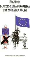 Publicystyka - Dlaczego Unia Europejska jest zgubą dla Polski - miniaturka - grafika 1