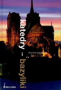 Katedry - Bazyliki - Książki o kulturze i sztuce - miniaturka - grafika 1