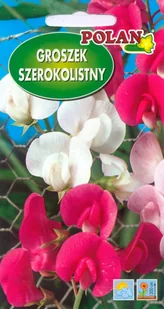 Groszek szerokolistny mieszany 2 g POLAN - Nasiona i cebule - miniaturka - grafika 1