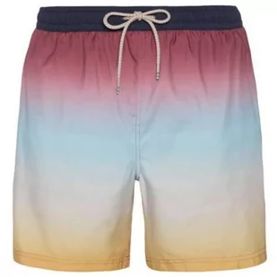 Spodenki męskie Protest PRTYOUENN beachshort PROTEST L - Spodenki męskie - miniaturka - grafika 1
