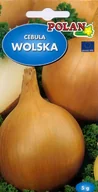 Nasiona i cebule - Cebula Wolska Nasiona 5g Polan - miniaturka - grafika 1