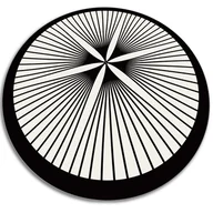 Dywany - Dywan okrągły winylowy do domu okrągła florystyczne linie fi80 cm - miniaturka - grafika 1