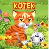 Fantasy - Jafi Kotek JAFI - dostawa od 3,49 PLN - miniaturka - grafika 1