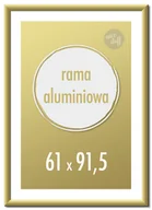 Ramki na zdjęcia - Ramka Na Zdjęcia 61X91,5 cm Ramki Aluminiowe 91,5X61 cm Złota - miniaturka - grafika 1