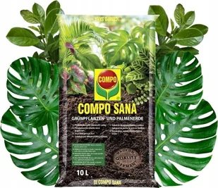 Compo Sana Podłoże do roślin zielonych i palm 10L Torf, perlit, agrosil, wapno Compo Sana - Ziemia ogrodowa - miniaturka - grafika 1