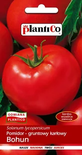 Pomidor Gruntowy Bohun 1g PlantiCo - Nasiona i cebule - miniaturka - grafika 1