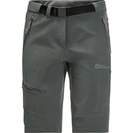 Spodenki damskie - Jack Wolfskin Ziegspitz szorty Slate Green 38 - miniaturka - grafika 1