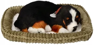 Perfect Petzzz Oddychający Berneńczyk do - Maskotki i pluszaki - miniaturka - grafika 1