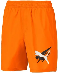Spodenki szorty dziecięce Puma Summer Shorts r.S - Spodenki męskie - miniaturka - grafika 1