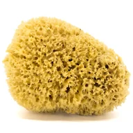 Inne akcesoria do pielęgnacji dzieci - Gąbka do kąpieli - naturalna morska - rozmiar XXL 18-20 cm - miniaturka - grafika 1