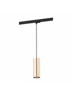 Lampy pozostałe - Argon Reflektor do szynoprzewodu DELF 1x15W E27 4318  4318 - miniaturka - grafika 1