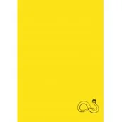 Albumy inne - Nauka i praca Aleksandra Waliszewska - miniaturka - grafika 1