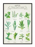 Plakaty - Plakat w ramie E-DRUK Zioła, 33x43 cm - miniaturka - grafika 1