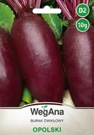 Nasiona i cebule - Burak cwiklowy Opolski 10g nasiona - WegAna - miniaturka - grafika 1