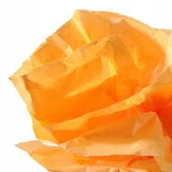 Szkolne artykuły papiernicze - Bibułka Gładka Bibuła Rolka 0,5 X 5m Nr 58 - miniaturka - grafika 1