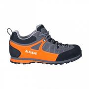 Buty trekkingowe męskie - Męskie buty trekkingowe Alpinus The Ridge Low Pro - multikolor - ALPINUS - miniaturka - grafika 1