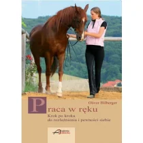 Praca w ręku Nowa - Poradniki hobbystyczne - miniaturka - grafika 2