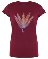 Koszulki i topy damskie - T-Shirt damski kolorowy nadruk Pióra r.L - miniaturka - grafika 1