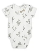 Body dla niemowląt - Niemowlęce body z krótkim rękawem rośliny kremowe Nicol,r.68 - miniaturka - grafika 1