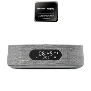 Harman Kardon Citation Oasis FM szary - Głośniki i kolumny - miniaturka - grafika 1