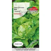 Nasiona i cebule - TORSEED nasiona SAŁATA GŁOWIASTA MASŁOWA ZIMUJĄCA ŚREDNIO PÓŹNA ZINA 0,5 G - miniaturka - grafika 1