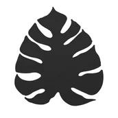 Lampy ścienne - Monstera kinkiet czarny TK/4666 TK Lighting - miniaturka - grafika 1