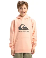 Bluzy dla chłopców - Quiksilver Chłopięca bluza z kapturem z dużym logo, młodzieżowy sweter (1 szt.) - miniaturka - grafika 1