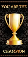 Ręczniki - Faro Ręcznik Kąpielowy plażowy 70x140 champion piłka - miniaturka - grafika 1