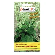 Nasiona i cebule - SZAŁWIA MUSZKATOŁOWA nasiona ziół i przypraw 0,5g - miniaturka - grafika 1