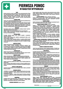 Instrukcja Pierwsza Pomoc W Nagłych Wypadkach Signproject Dd001_245X350_Hn 5904937010123 - Akcesoria BHP - miniaturka - grafika 1