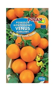 Pomidor gruntowy Venus 0,2 g POLAN - Nasiona i cebule - miniaturka - grafika 1