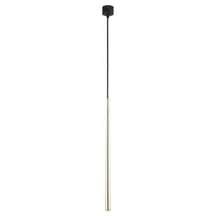 TK Lighting Piano lampa wisząca 1-punktowa złota 6419 TK6419 - Lampy sufitowe - miniaturka - grafika 1