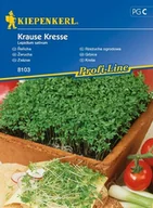 Nasiona i cebule - Kiepenkerl Rzeżucha ogrodowa Krause Kresse Lepidium sativum 102317 - miniaturka - grafika 1