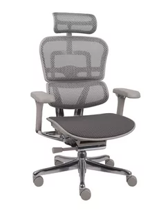 Fotel biurowy, krzesło biurowe Ergonomiczny fotel biurowy Ergohuman 2 Elite Pro GT Grey - Fotele i krzesła biurowe - miniaturka - grafika 1