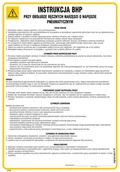 Instrukcje stanowiskowe BHP - IAA44 INSTRUKCJA BHP PRZY OBSŁUDZE RĘCZNYCH NARZĘDZI O NAPĘDZIE PNEUMATYCZNYM, PN - PŁYTA PCV 1MM; (245X350MM) - miniaturka - grafika 1